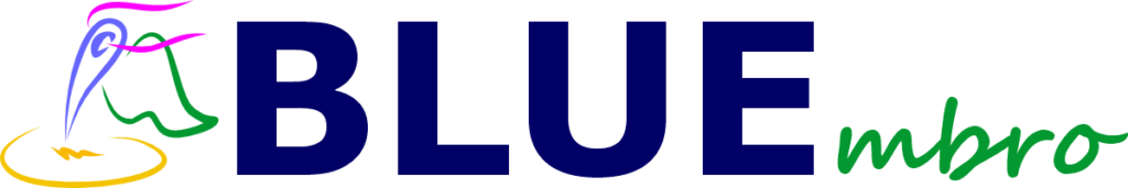 výšivka na zakázku 1 BLUEmbro - vyšívání, potisk, laser