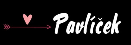 BLUEmbro.cz -  Potisk nažehlovac&iacute; vlastn&iacute; jm&eacute;no